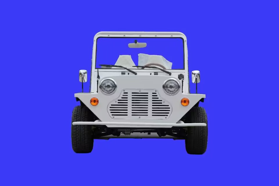 La popolarità delle auto di pattuglia elettriche è in aumento?