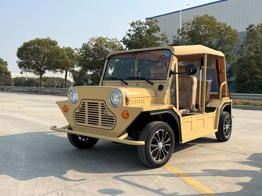 MINI MOCHI